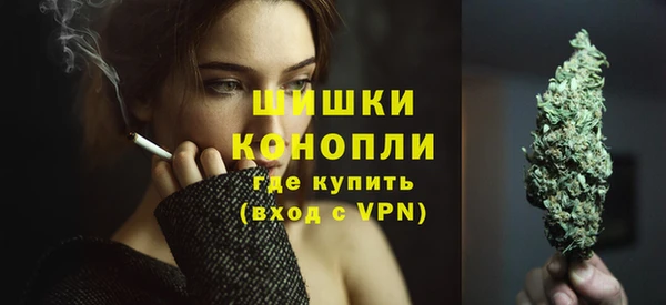 spice Медвежьегорск