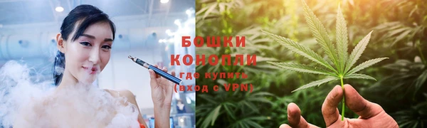 прущие грибы Мегион