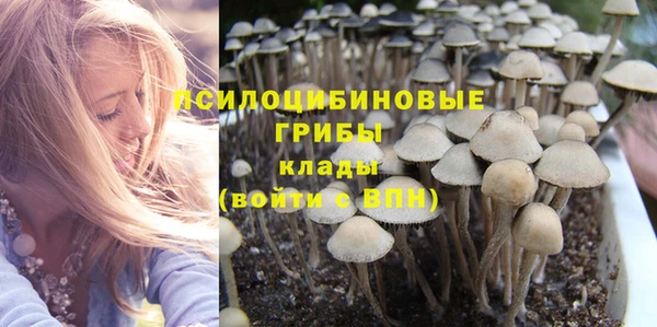 ПСИЛОЦИБИНОВЫЕ ГРИБЫ Абдулино