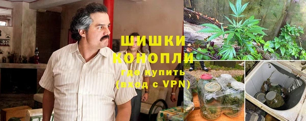 мдпв Медногорск