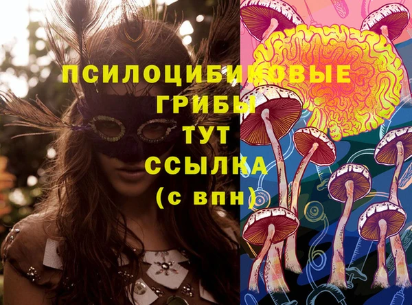 ПСИЛОЦИБИНОВЫЕ ГРИБЫ Абдулино